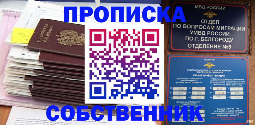 прописка законно в Шахунье